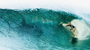 Задник к фильму "Отмель" #289636