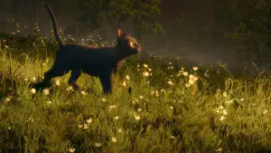 Задник к фильму "" #586572