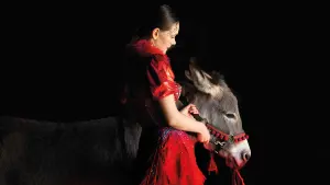 Задник к фильму "Иа" #195291