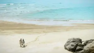 Задник к фильму "" #646999