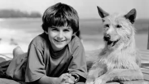 Задник к фильму "Зевс и Роксана" #491445