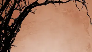 Задник к фильму "12 лет рабства" #181316