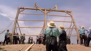 Задник к фильму "Свидетель" #241113