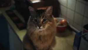 Задник к фильму "Пойман с поличным" #527834