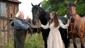 Задник к фильму "Боевой конь" #719032