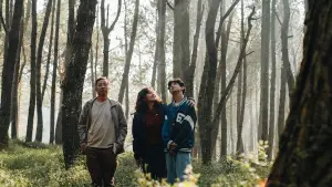 Задник к фильму "" #539527