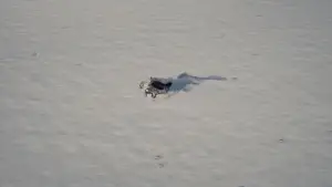 Задник к фильму "Дракула" #510007