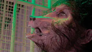 Задник к фильму "Вой 3" #491983