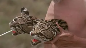 Задник к фильму "Святая Гора" #726633