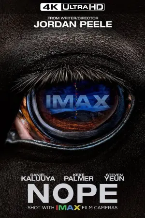 Постер к фильму "Нет" #44775