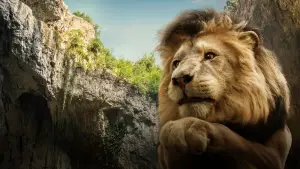 Задник к фильму "Волшебник Изумрудного города. Дорога из жёлтого кирпича" #536046