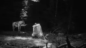 Задник к фильму "Расёмон" #702003