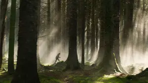 Задник к фильму "" #522909