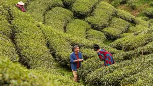 Задник к фильму "" #366358