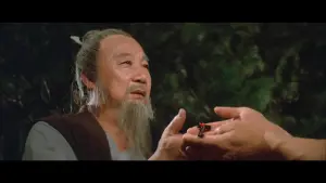 Задник к фильму "Ниндзя пяти стихий" #471113