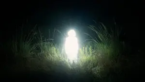 Видео к фильму Chronicles of a Wandering Saint | Tom&aacute;s G&oacute;mez Bustillo on CHRONICLES OF A WANDERING SAINT