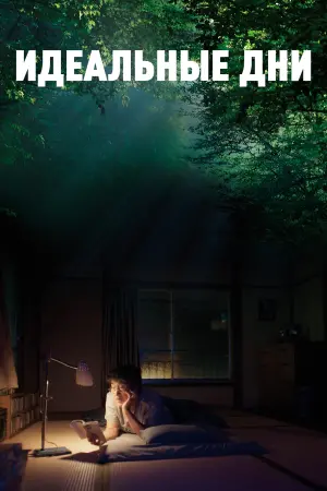 Постер к фильму "Идеальные дни" #369245