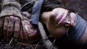 Задник к фильму "Птичий короб" #258454