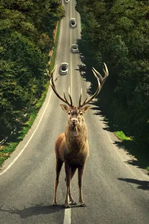 Постер к фильму "Оставить мир позади" #164162