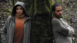 Задник к фильму "Зла не существует" #372520