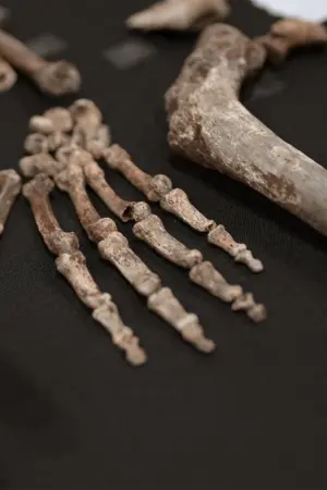 Неизведанное: Пещера костей