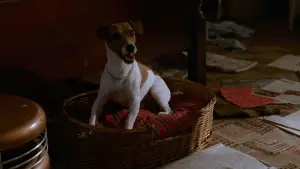 Задник к фильму "Маска" #582302