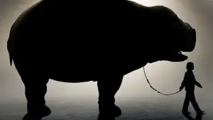 Задник к фильму "Окча" #220379