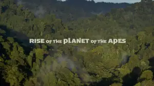 Задник к фильму "Восстание Планеты обезьян" #598939