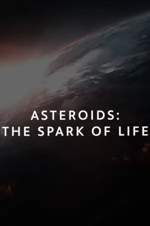 Asteroids: The Spark of Life?