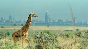 Задник к фильму "Разрушая границы: Научный взгляд на нашу планету" #417753