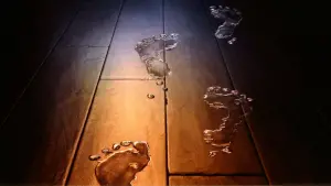 Задник к фильму "Девушка из воды" #377921