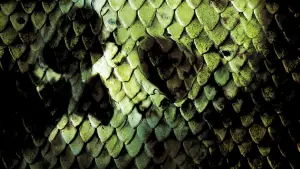 Задник к фильму "Анаконда 2: Охота за проклятой орхидеей" #739706