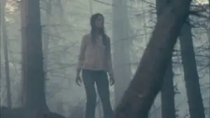 Задник к фильму "Антихрист" #723338