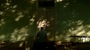 Задник к фильму "Сухой лист" #623400