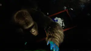 Задник к фильму "Айван, единственный и неповторимый" #216898