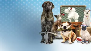 Задник к фильму "Отель для собак" #306696