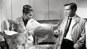 Задник к фильму "Завтрак у Тиффани" #648634