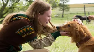 Задник к фильму "Собачья жизнь" #204549