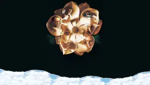 Задник к фильму "Магнолия" #670097