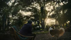 Задник к фильму "Красивый мальчик" #693590