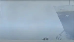 Задник к фильму "Мадагаскар" #521748