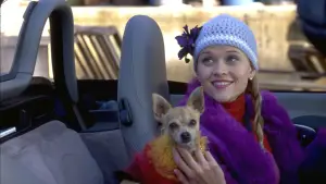 Задник к фильму "Блондинка в законе" #616095