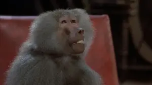 Задник к фильму "Муха" #218610