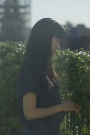 Постер к фильму "The Continuing Land"