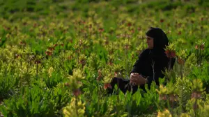 Задник к фильму "" #504311