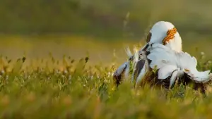 Задник к фильму "" #395115