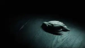 Задник к фильму "Гарри Поттер и Принц-полукровка" #798470