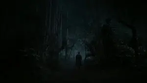 Задник к фильму "Мрачные тени" #647397