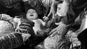 Задник к фильму "Чудо в Милане" #351386