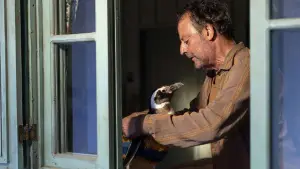 Задник к фильму "" #632056